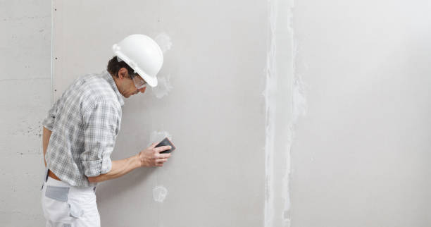 Best Basement Mold Removal  in Conway, AR