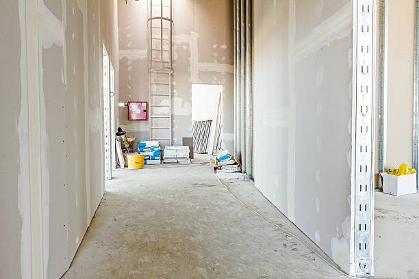 Best Dehumidification Services  in Conway, AR