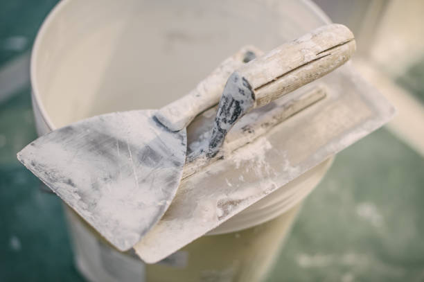 Best Asbestos and Lead Testing During Mold Inspection  in Conway, AR