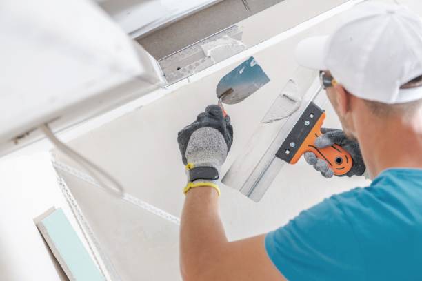 Professional Mold Removal in Conway, AR